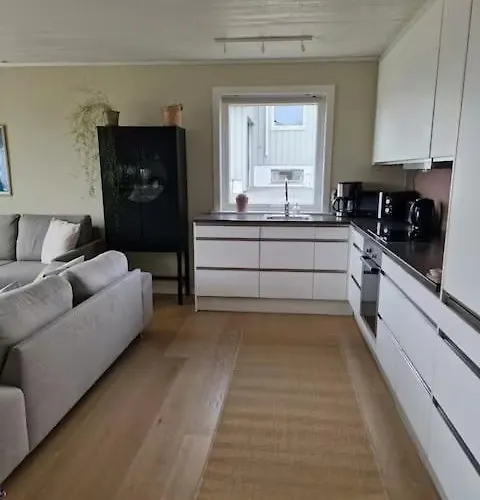 Comfortable In The Middle Of Lofoten